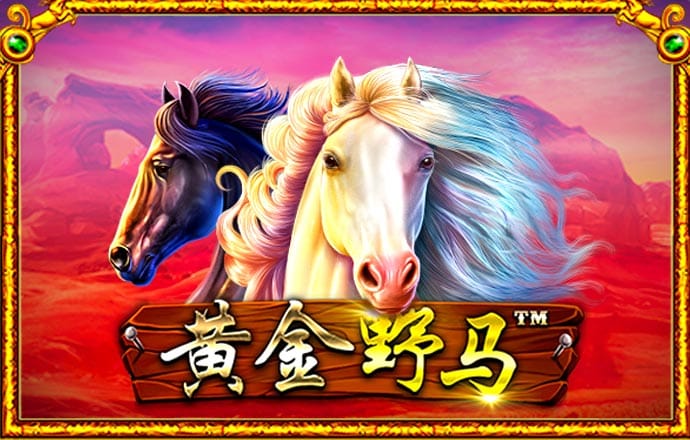 彩皇官方